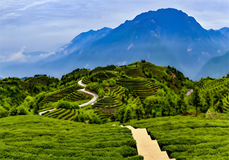 銀價大幅上漲!我國都有哪些銀礦床及找礦有利區(qū)